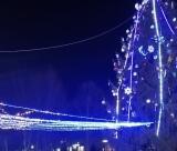 21  12   19  елка-15