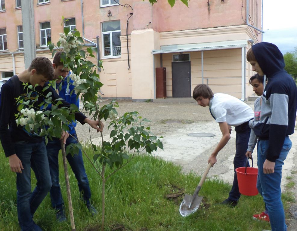 Безымянный1